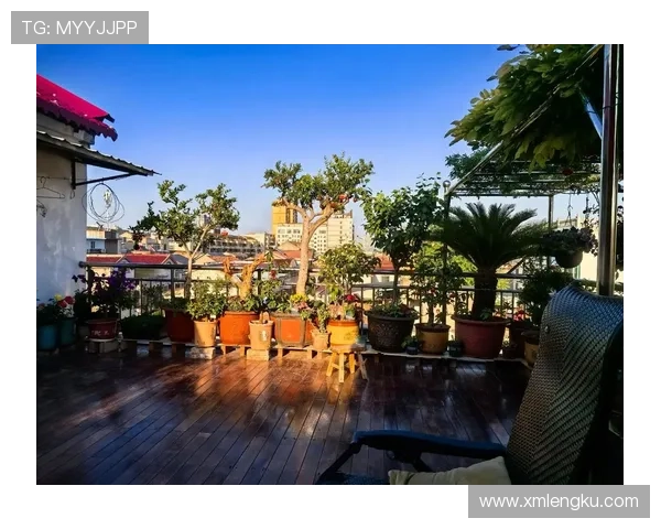 妈妈的庭院里岁月静好我们在爱的温暖中寻找人生的意义与家族的羁绊 妈妈的庭院里岁月静好我们在爱的温暖中寻找人生的意义与家族的羁绊