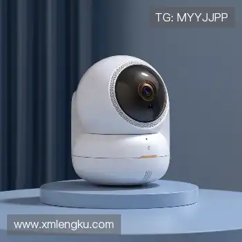 关键技术掌握度